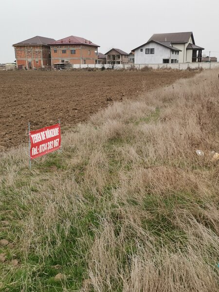 Clinceni, Domnesti sat Olteni, str. Ortansei,